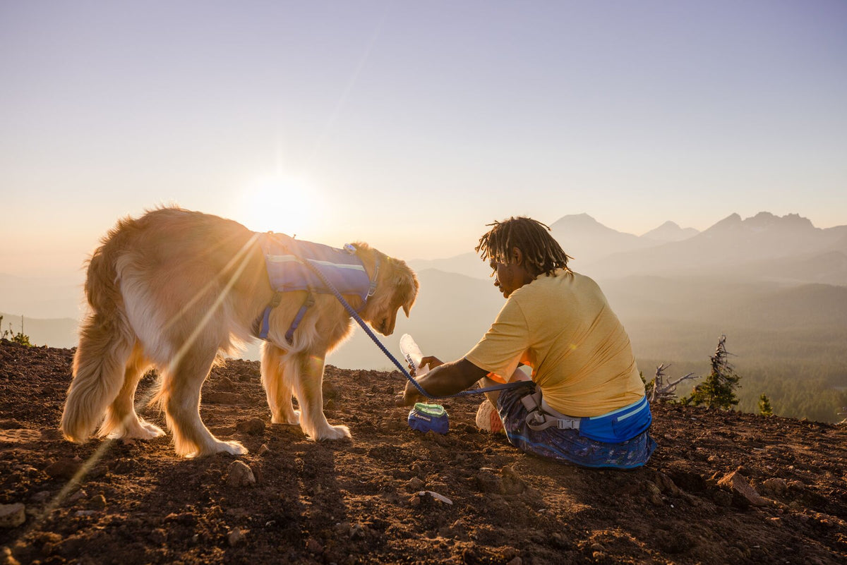 Runner sitting at mountain summit giving dog water from Ruffwear bowl, dog wearing Trail Runner Vest with Trail Runner Lead attached, runner wearing Trail Runner Running Belt at golden hour