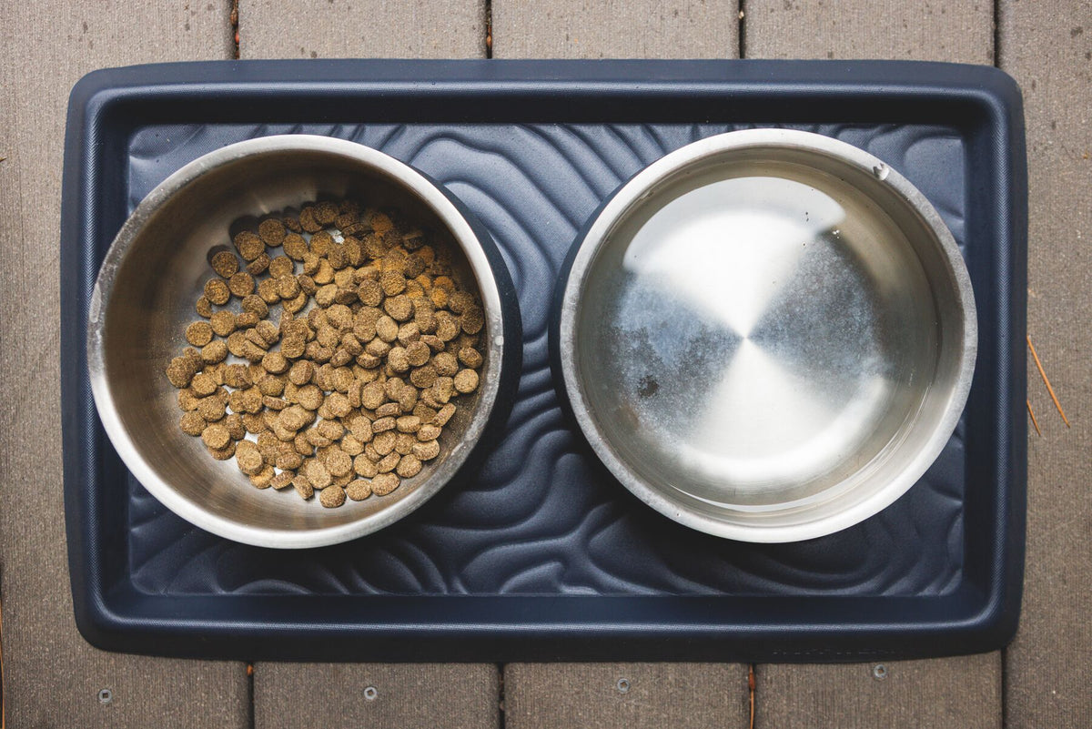 Two Ruffwear Basecamp Bowls with kibble on a Ruffwear Basecamp Mat