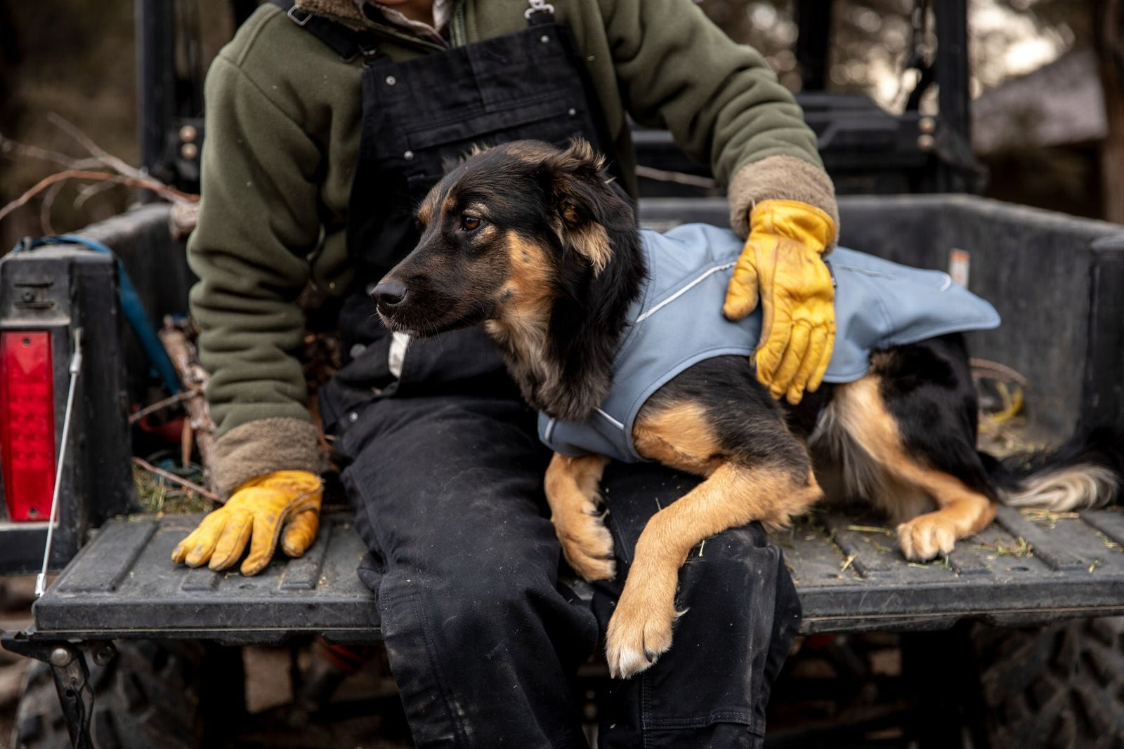 Ruffwear Overcoat, Warm Winter Dog Jacket | Barks & Bunnies