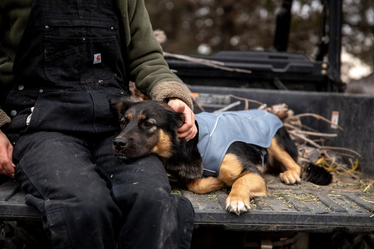 Ruffwear Overcoat, Warm Winter Dog Jacket | Barks &amp; Bunnies