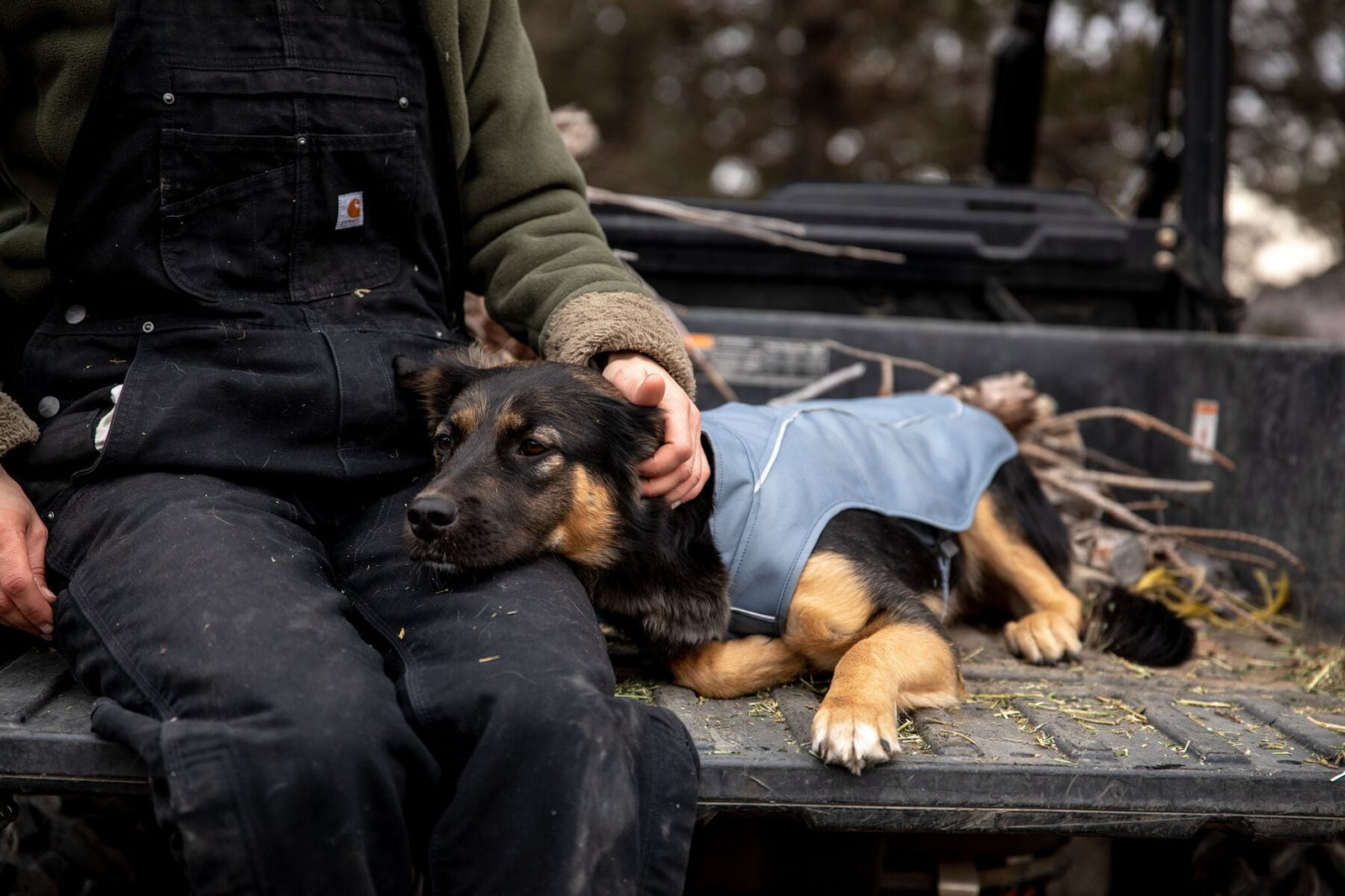 Ruffwear Overcoat, Warm Winter Dog Jacket | Barks & Bunnies
