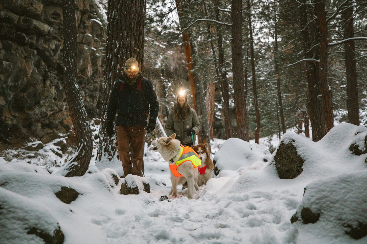 Ruffwear Lumenglow High-Vis Reflective Coat for Dogs | Barks &amp; Bunnies