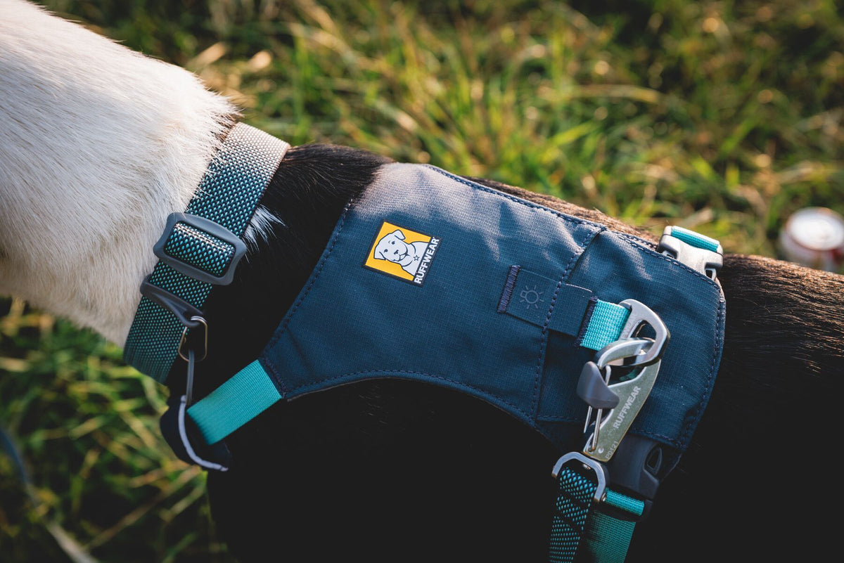 Ruffwear Hi &amp; Light Dog Harness | Barks &amp; Bunnies