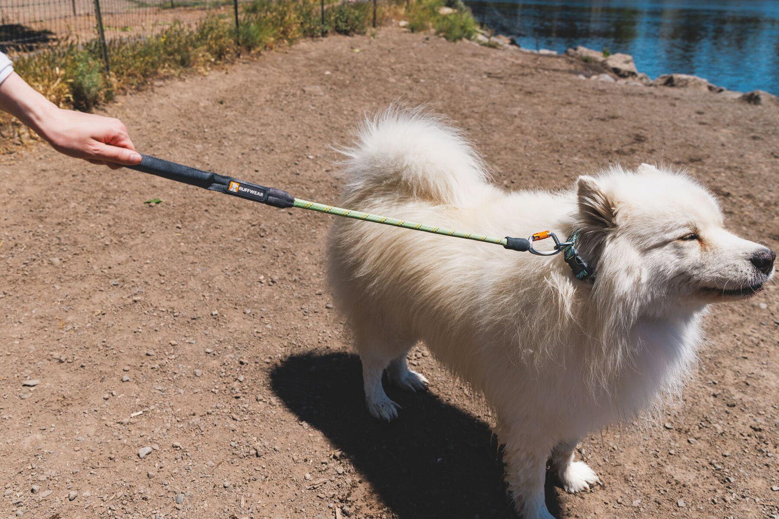 White Samoyed on the Ruffwear Knot-a-Long leash in Moss Green at a dog park, held by hand with a lake in the background