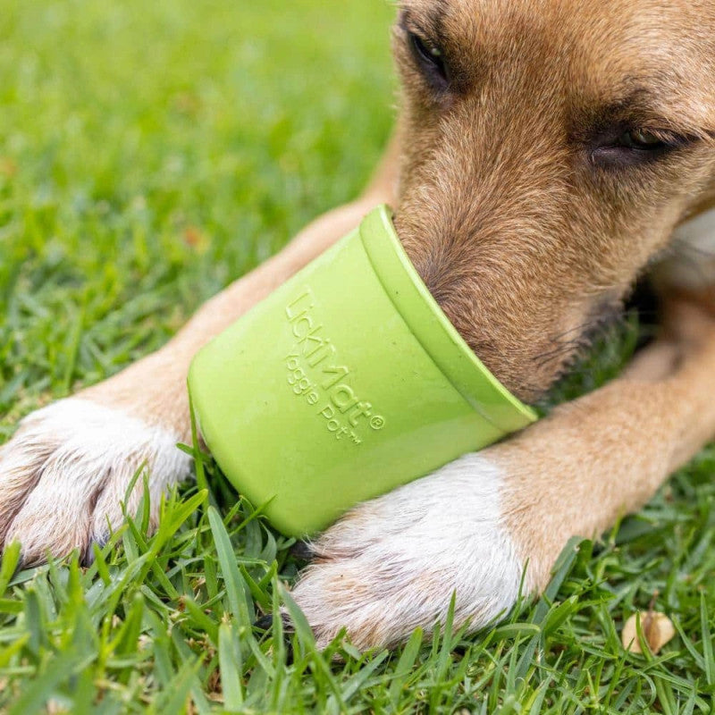 Lickimat Yoggie Pot, Interactive Dog Feeder | Barks &amp; Bunnies