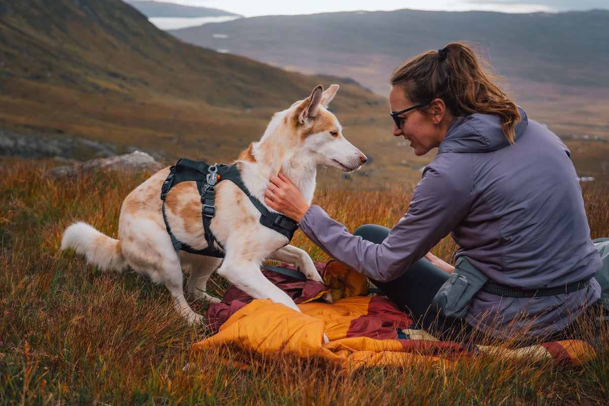 Woman sitting on a sleeping bag in open moorland, smiling at her cream dog wearing the Ruffwear Ridgeline harness in Obsidian Black, autumn hills and loch visible in the background