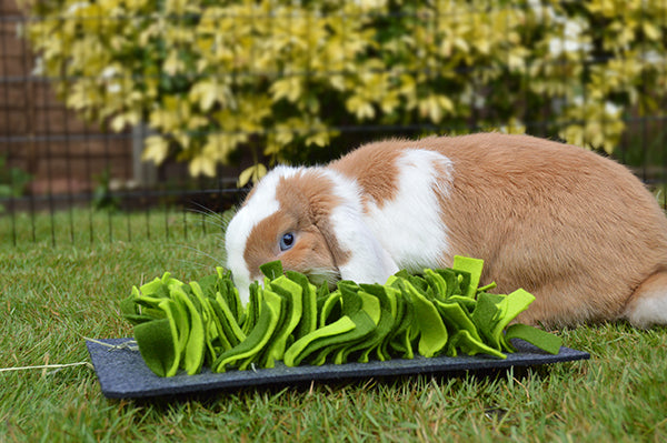 Rosewood Snuffle Forage Mat for Rabbits &amp; Small Animals | Barks &amp; Bunnies