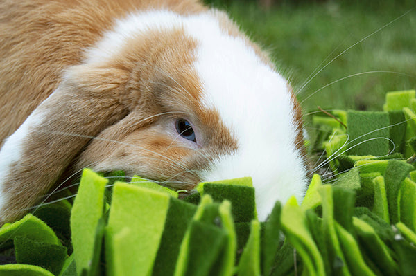 Rosewood Snuffle Forage Mat for Rabbits &amp; Small Animals | Barks &amp; Bunnies