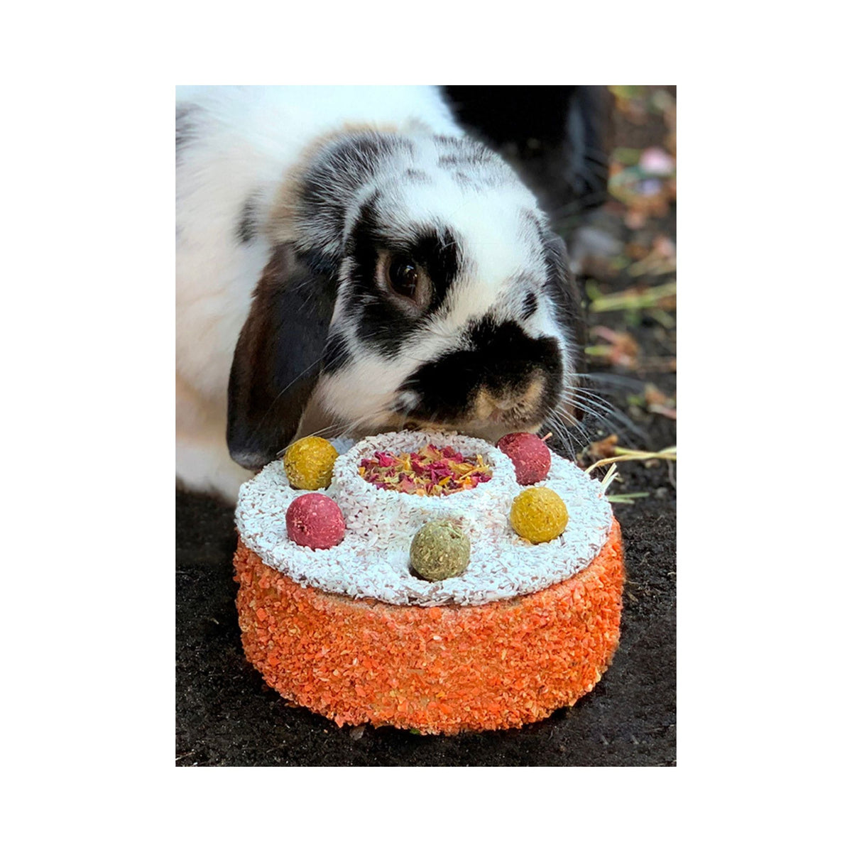 Rosewood Celebration Cake for Rabbits &amp; Small Animals | Barks &amp; Bunnies
