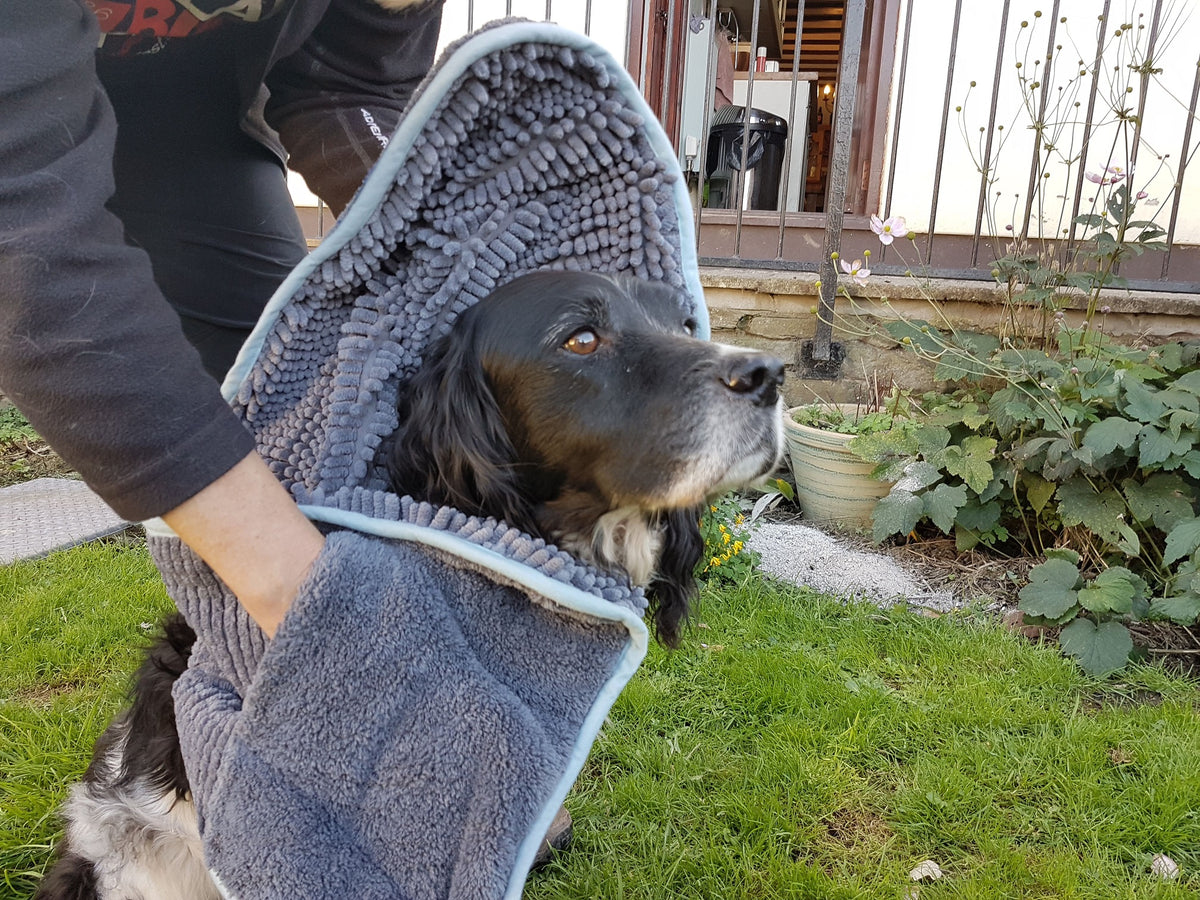 Henry Wag Microfibre Noodle Glove Towel For Dogs | Barks &amp; Bunnies