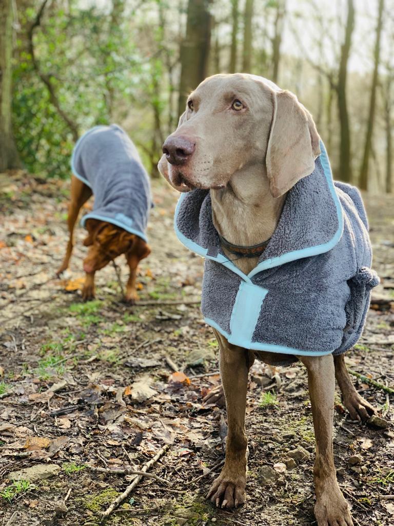 Henry Wag Microfibre Dog Drying Coat | Barks &amp; Bunnies