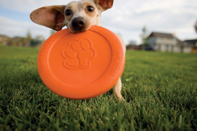 Zogoflex Zisc Frisbee Dog Toy UK, Guranteed Tough | Barks &amp; Bunnies