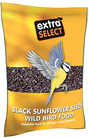 Extra Select Black Sunflower Seed 2kg, Bird Food | Barks &amp; Bunnies