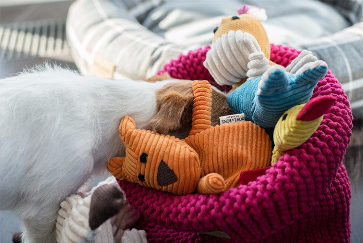Bowl & Bone Republic Cotton Basket Pink, Dog Toy Storage | Barks & Bunnies
