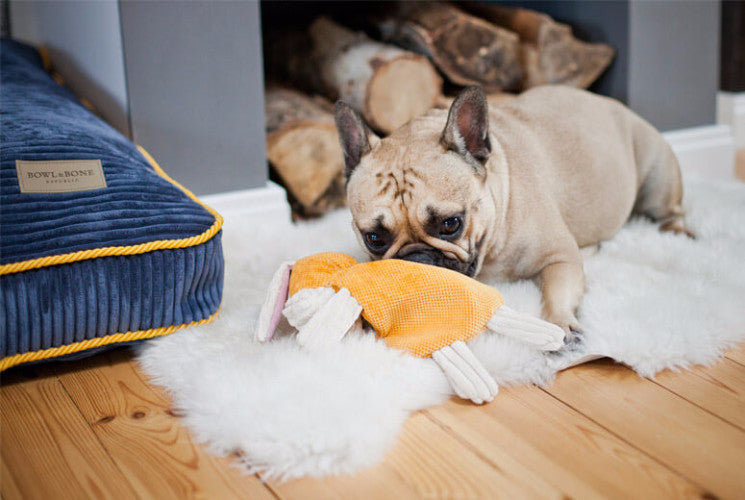 Bowl &amp; Bone Republic Deco Cushion Amber, Dog Bed | Barks &amp; Bunnies