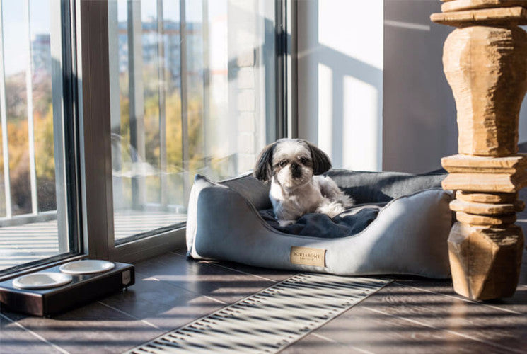 Bowl &amp; Bone Republic Classic Bed Grey, Dog Bed | Barks &amp; Bunnies