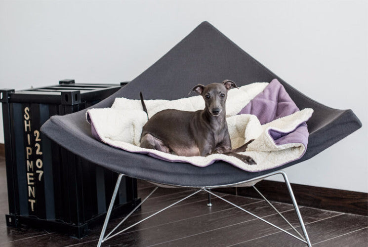 Bowl &amp; Bone Republic Dreamy Bed Lily, Cave Dog Bed | Barks &amp; Bunnies