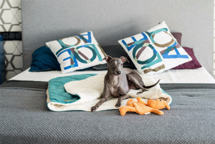 Bowl & Bone Republic Dreamy Bed Silver, Dog Bed | Barks & Bunnies