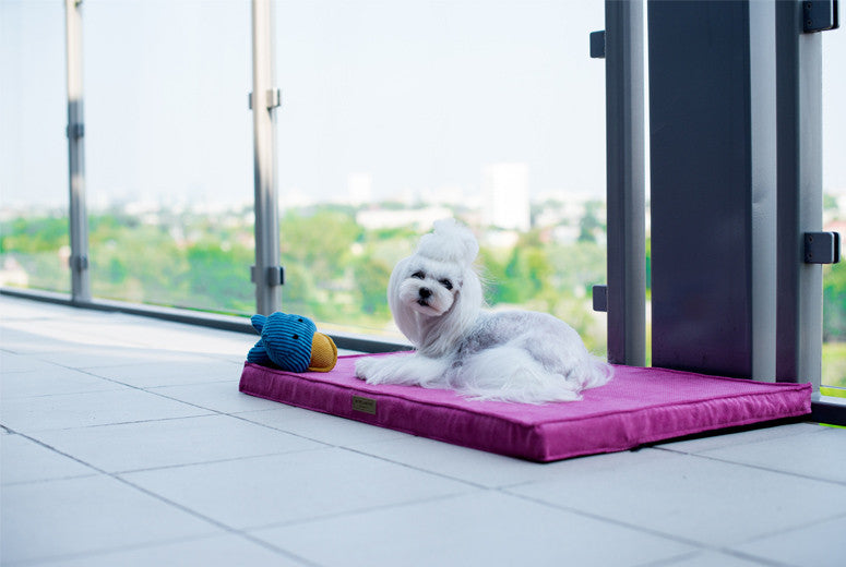 Bowl &amp; Bone Republic Chill Mat Chocolate, Dog Bed | Barks &amp; Bunnies
