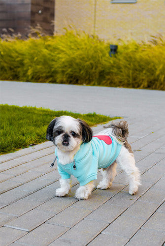 Bowl &amp; Bone Republic Cloud Hoodie Dog Coat | Barks &amp; Bunnies