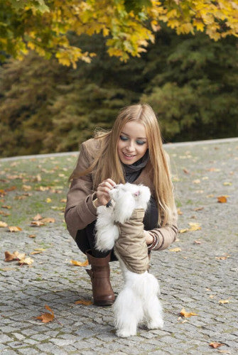 Bowl &amp; Bone Spirit Jacket Gold, Quilted Dog Coat | Barks &amp; Bunnies
