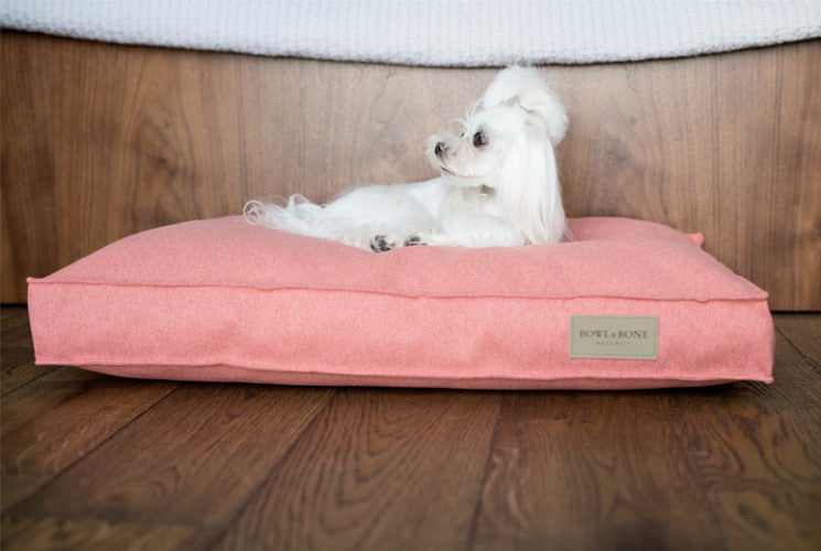 Bowl & Bone Republic Loft Cushion Graphite, Dog Bed | Barks & Bunnies