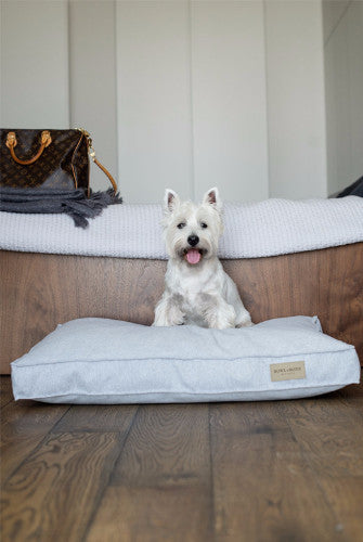 Bowl & Bone Republic Loft Cushion Graphite, Dog Bed | Barks & Bunnies