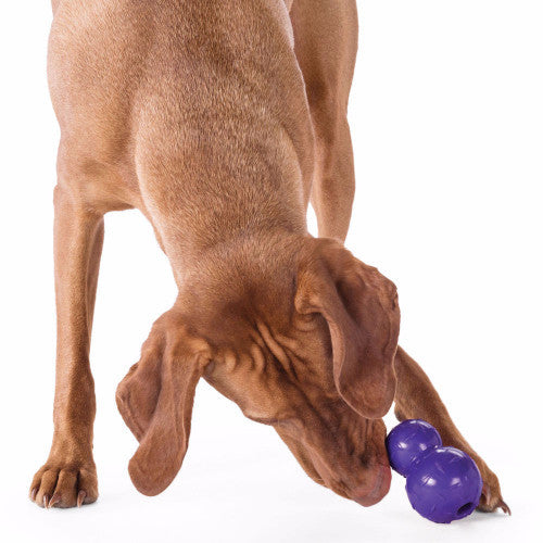 Planet Dog Orbee Tuff Diamond Plate Double Tuff, Extra Tough Dog Toy | Barks &amp; Bunnies