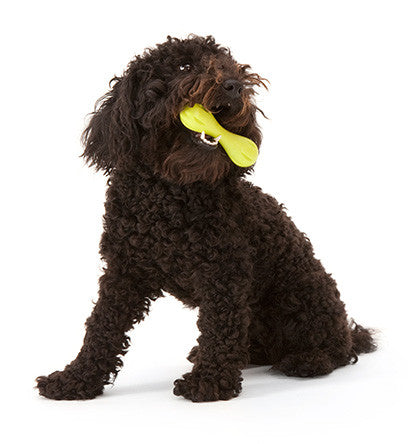 Zogoflex Hurley UK, Zogoflex Dog Toys UK Stockist | Barks & Bunnies