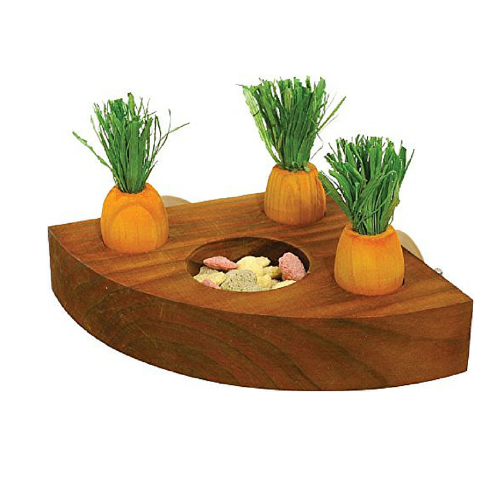 Rosewood Carrot Toy 'n' Treat Holder for Rabbits &amp; Small Animals | Barks &amp; Bunnies