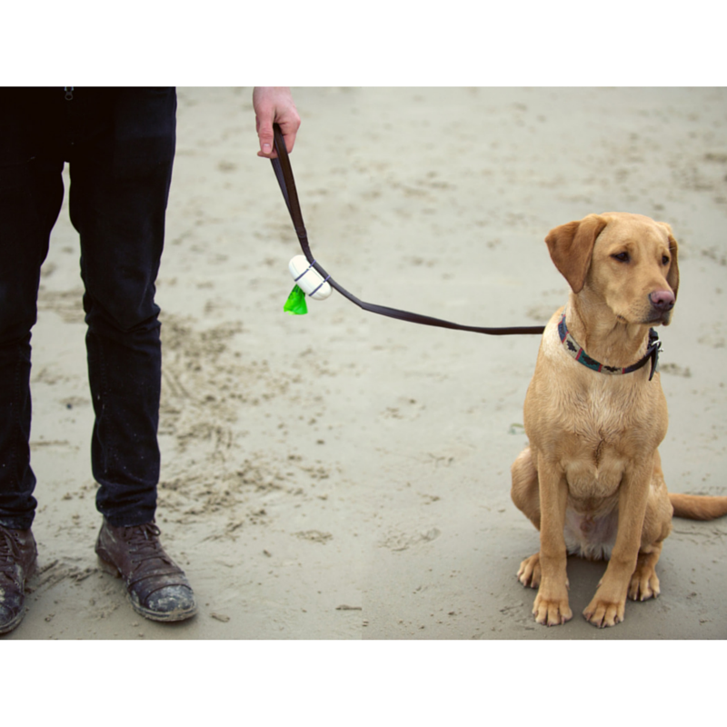 Beco Pocket Dispenser Eco-Friendly Dog Poop Bag | Barks &amp; Bunnies