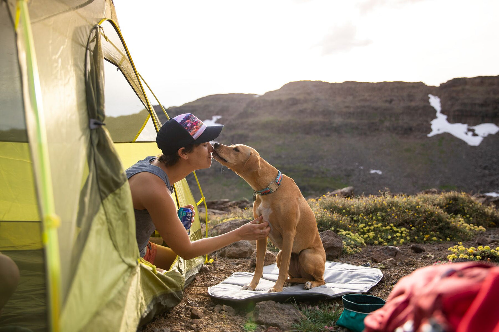 Dog resting on Ruffwear Highlands Pad beside a tent in mountain landscape
