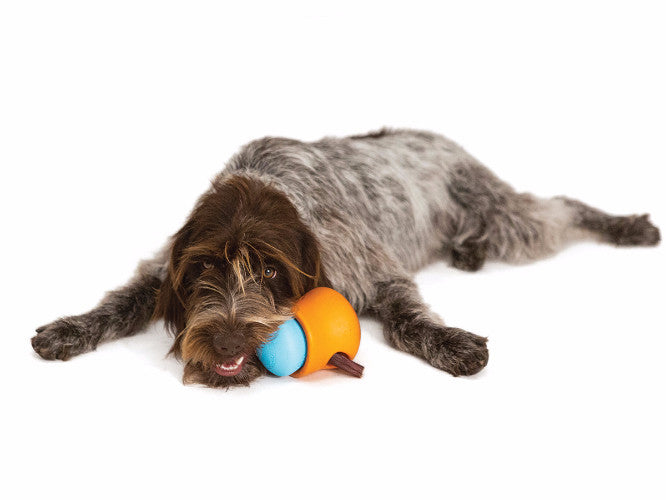 Zogoflex Toppl, Interactive &amp; Indestructible Dog Toy | Barks &amp; Bunnies