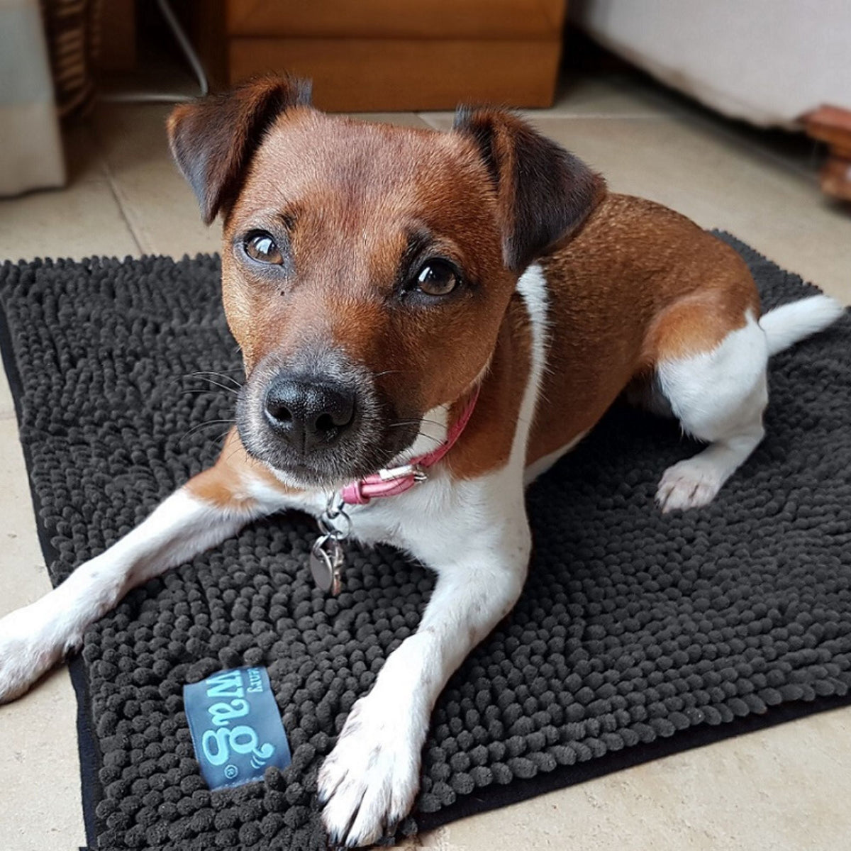 Henry Wag Microfibre Noodle Pet Mat for Dogs &amp; Pets | Barks &amp; Bunnies