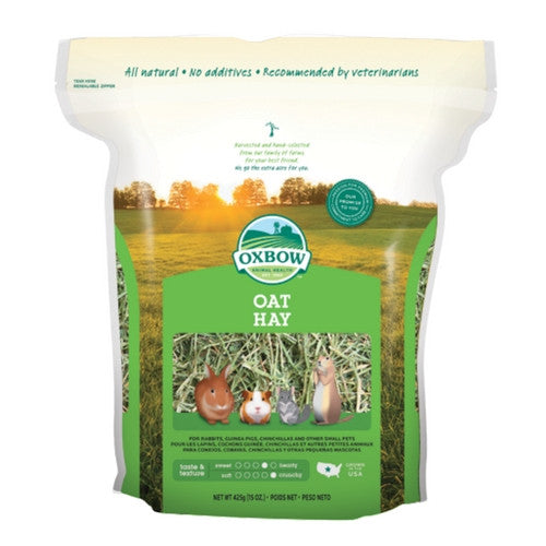 Oxbow Oat Hay for Rabbits &amp; Small Animals | Barks &amp; Bunnies