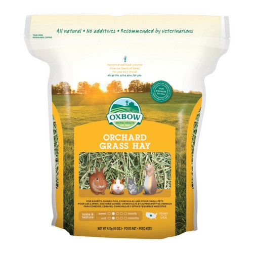 Oxbow Orchard Grass for Rabbits &amp; Small Animals | Barks &amp; Bunnies