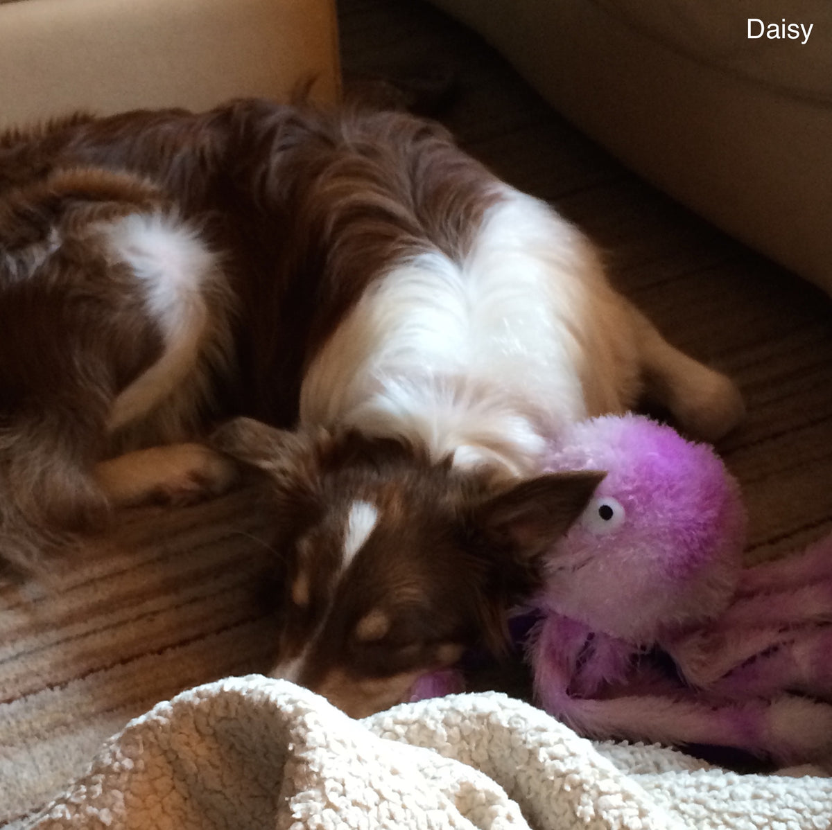Gor Pets Octopus Dog &amp; Puppy Toy, Super Soft, Plush | Barks &amp; Bunnies