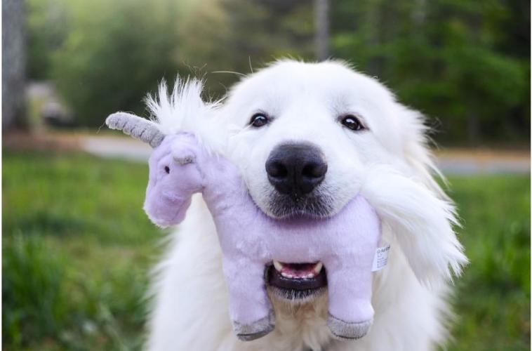 Fluff and Tuff Violet Unicorn plush dog toy in lilac with white mane and silver horn on white background