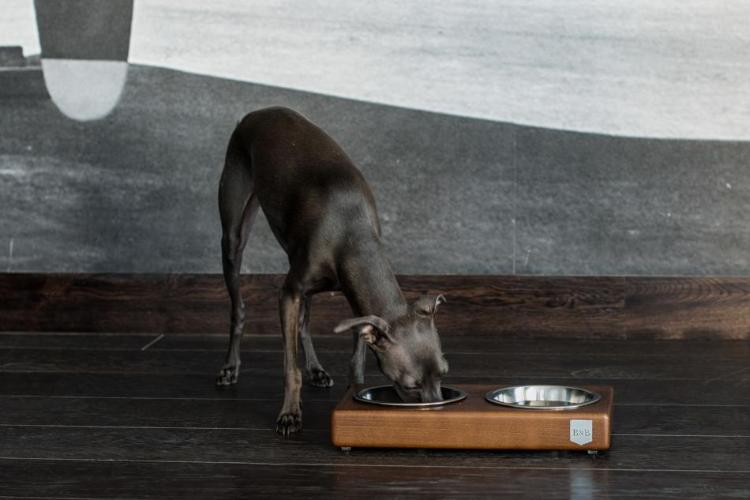 Bowl &amp; Bone Republic DUO Chestnut, Handmade Dog Bowl | Barks &amp; Bunnies