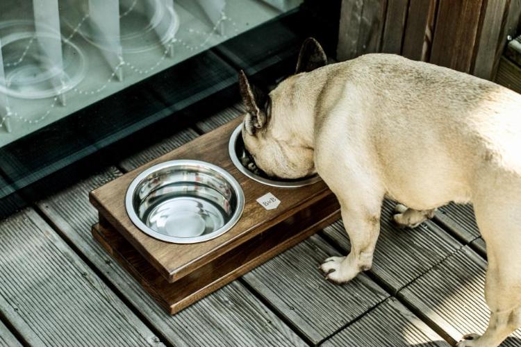 Bowl &amp; Bone Republic GRANDE Amber, Handmade Dog Bowl | Barks &amp; Bunnies