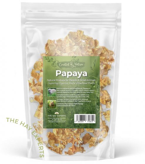 The Hay Experts Freeze Dried Papaya | Barks &amp; Bunnies