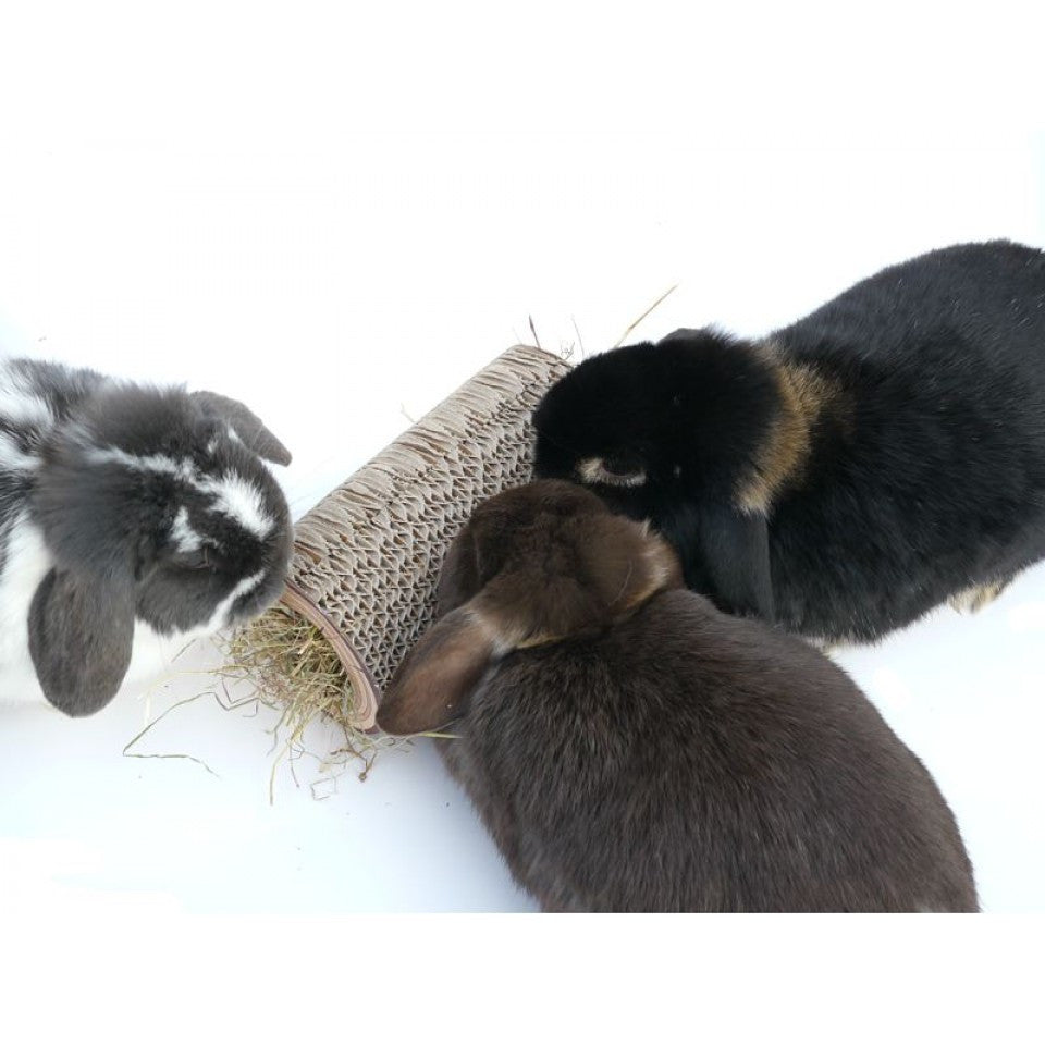 Rosewood Boredom Breaker Shred-a-log | Barks &amp; Bunnies