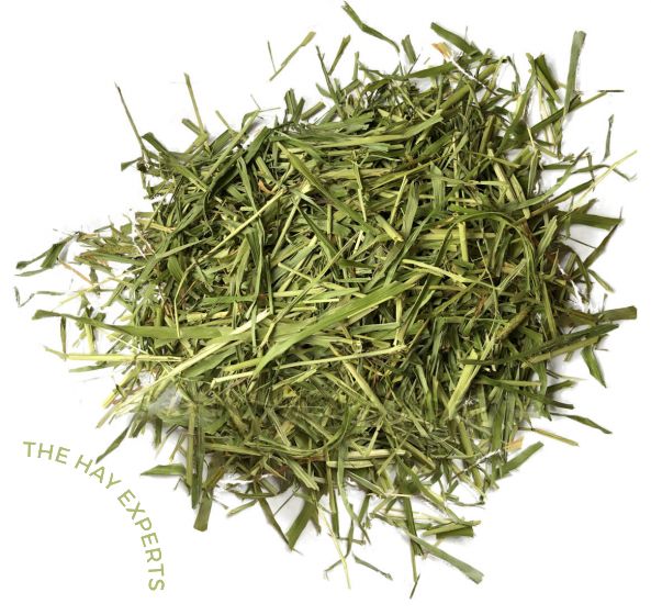 SPECIAL CUT TIMOTHY HAY: 1ST CUT - MIXED STEM &amp; LEAF