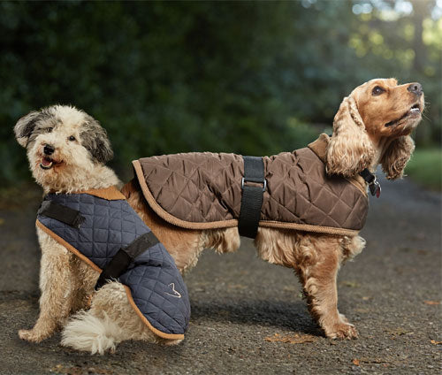 Gor Pets Worcester Dog Coat Green, Quilted Winter Dog Coat | Barks & Bunnies