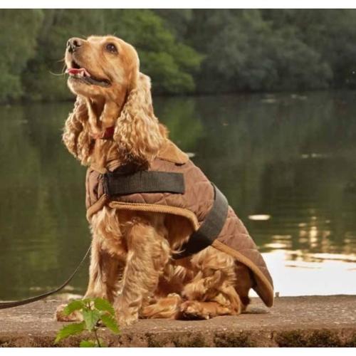 Gor Pets Worcester Dog Coat, Quilted Winter Dog Coat | Barks &amp; Bunnies